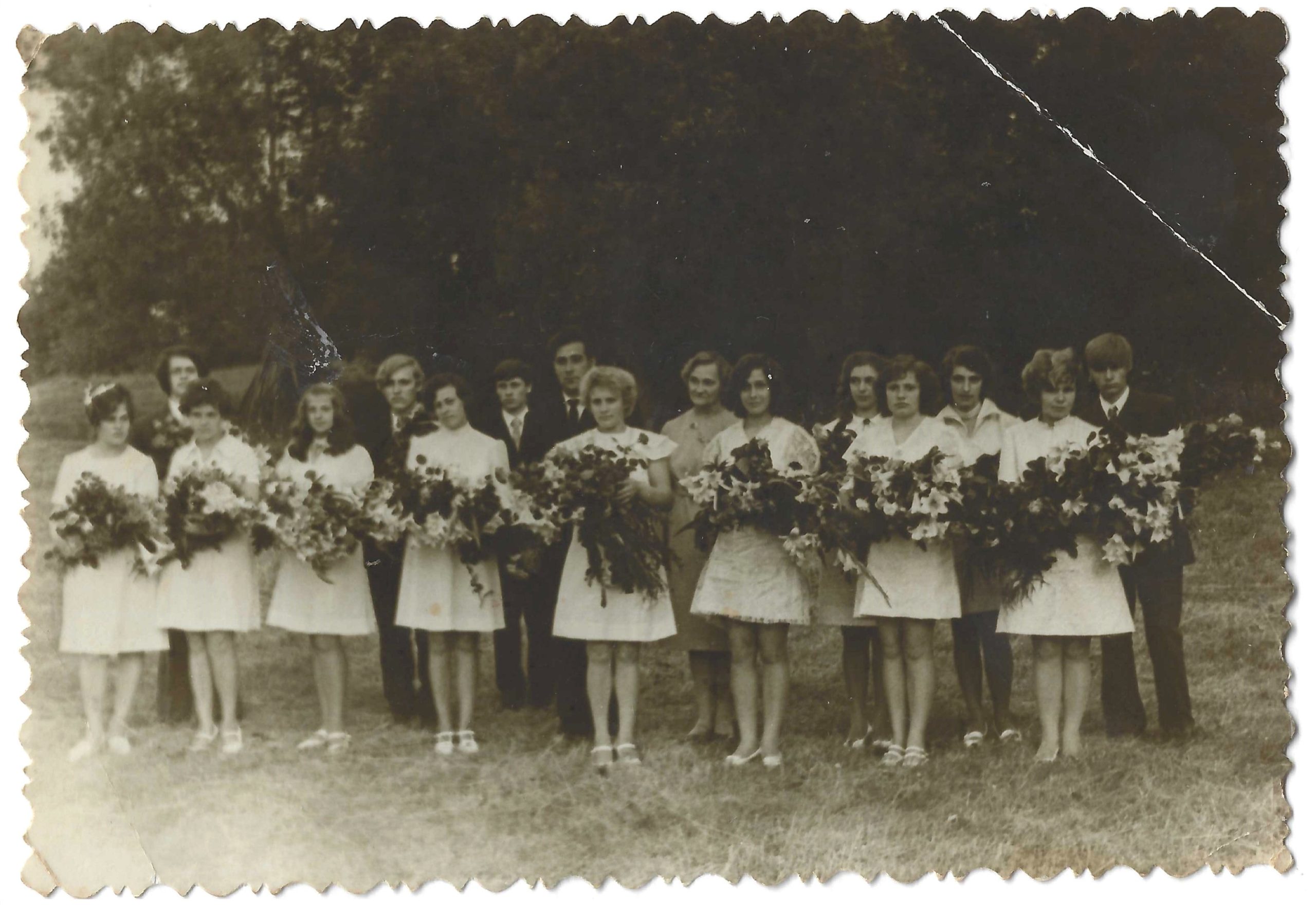 1966_g